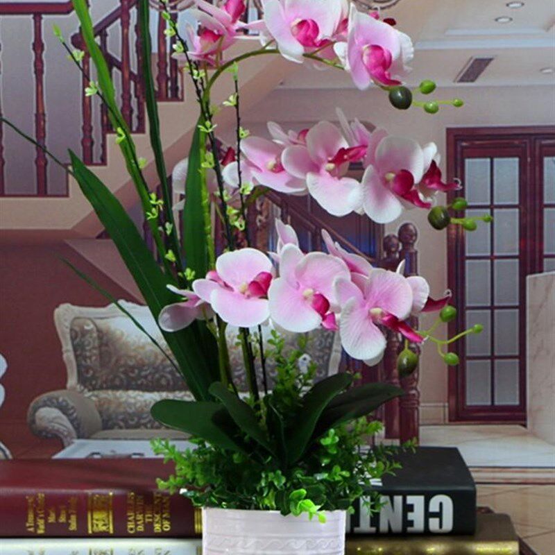 仿真花高档2023新款蝴蝶兰仿真花摆件客厅大盆仿真花高级感加花瓶