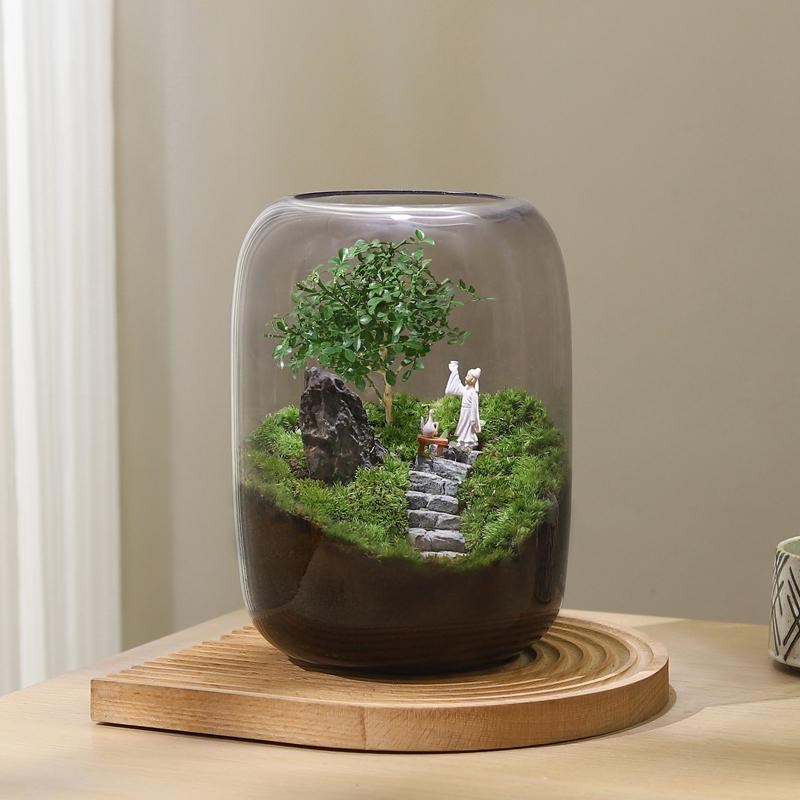 苔藓微景观生态瓶造景植物桌面小摆件悟空玻璃森林生态雨林养鱼缸图片