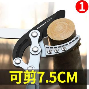 修枝剪修剪树枝果树剪刀粗枝剪园艺大力剪树剪子省力园林工具