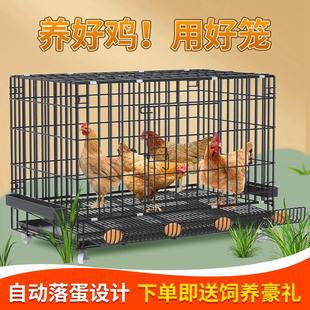 鸡笼子大号特大养殖笼自动清粪鸡舍家用养殖鸡笼多层鸭笼狗笼加固