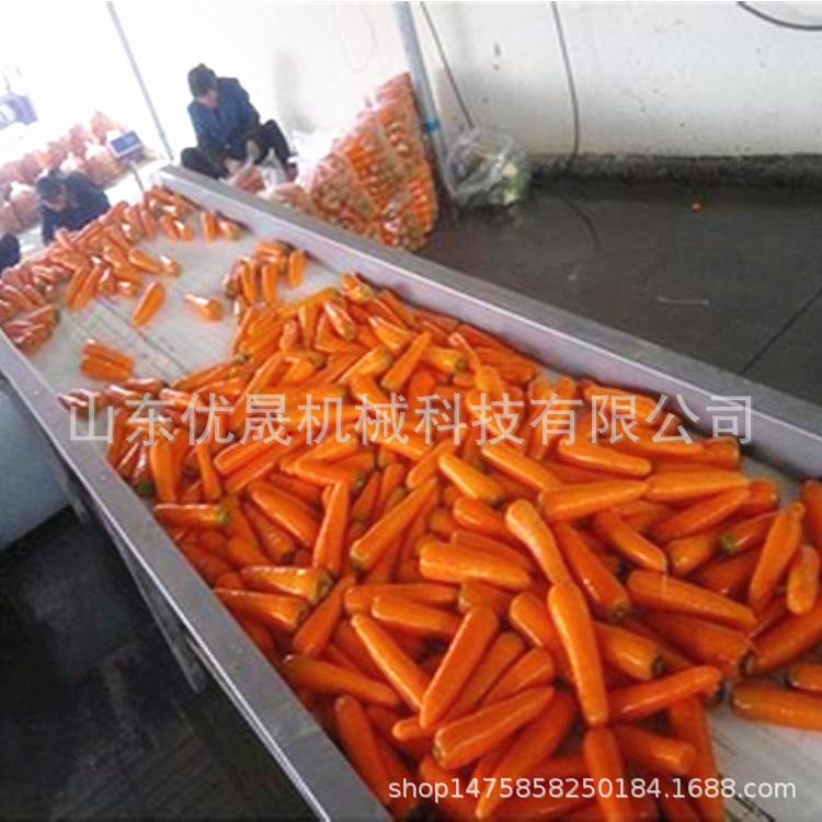 胡萝卜毛刷去泥清洗机 红薯 鲜姜平铺毛辊清洗设备 一机多用