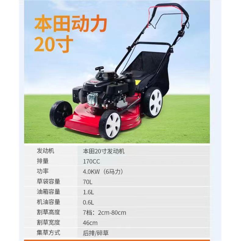 284工厂直手推燃发油割理草机 手推式割草机式园林绿化草坪管机
