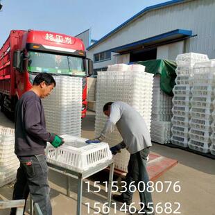 耐磨抗摔塑料大鸡筐 鸡鸭运输笼具 鸡鸭鹅塑料筐生厂厂家