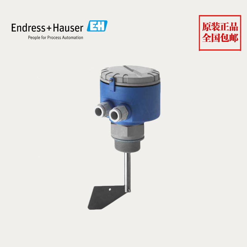 阻旋料位计物位计FTE30-FA21德国E+H恩德斯豪斯