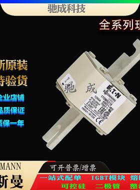 巴斯曼170M5218 170M5237 170M5238 厂家直供零售 原装熔断器