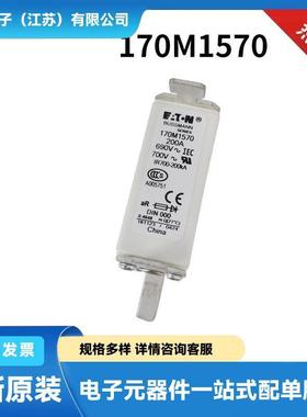 170M6925 170M6926 170M6927 170M6928原厂高压熔断器 保险丝