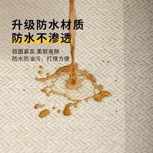 床边奶油风免洗可擦免打理房间家用沙发地垫 地毯客厅卧室新款