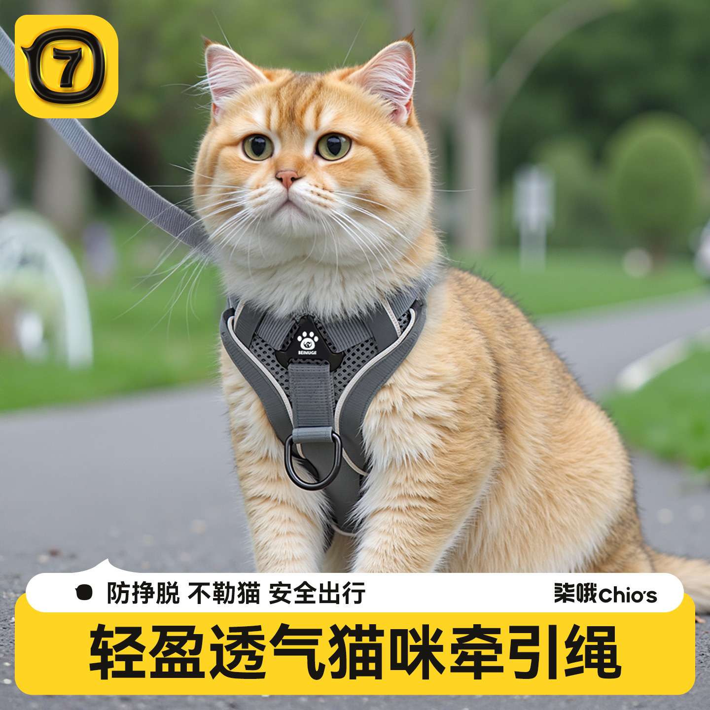 猫咪牵引绳防挣脱外出专用背心式溜猫绳子可调节胸背带宠物遛猫绳