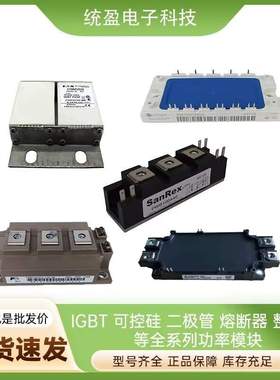 法国熔断器SC30AR69V100TF G1046897 SC30AR69V125TF H1046898