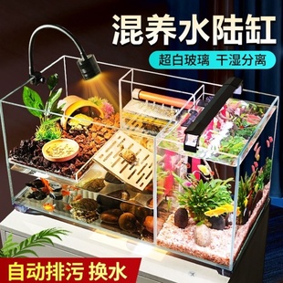 桌面超白玻璃南美风溪流造景客厅小型鱼龟共养生态龟缸鱼缸乌龟缸