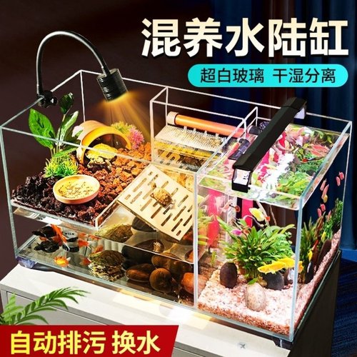 桌面超白玻璃南美风溪流造景客厅小型鱼龟共养生态龟缸鱼缸乌龟缸