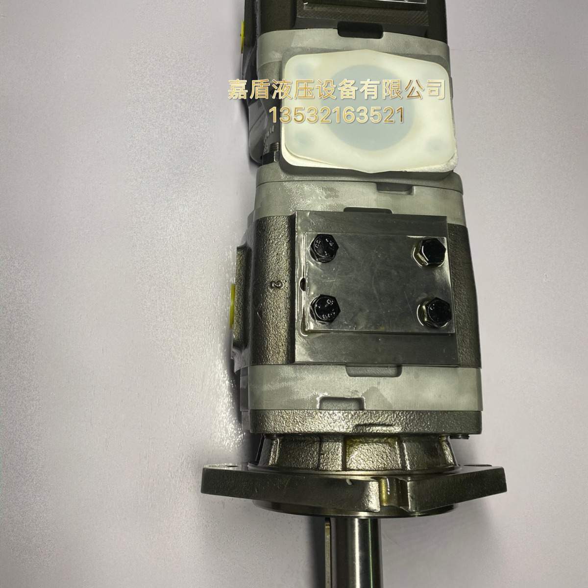 VOITH德国 福伊特 IPV3-8-101 IPV4-16-101 IPV4-20-101齿轮泵