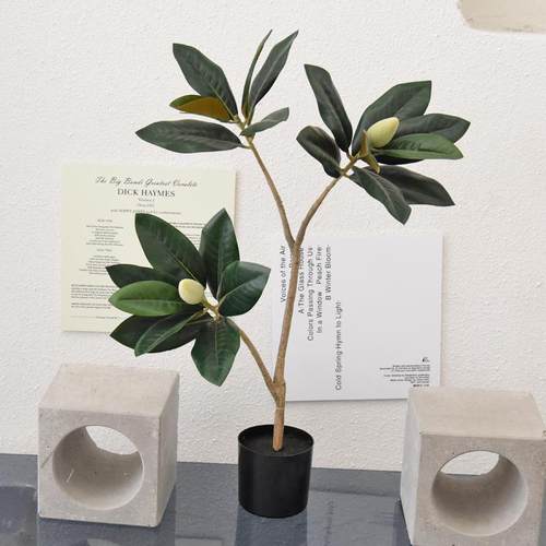 仿真玉兰树假绿植盆栽手感室内客厅落地装饰盆景造景摆件绿萝