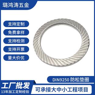 DIN9250防松垫圈