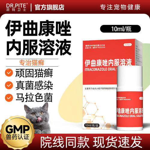 猫癣皮肤病真菌感染伊曲康唑口服