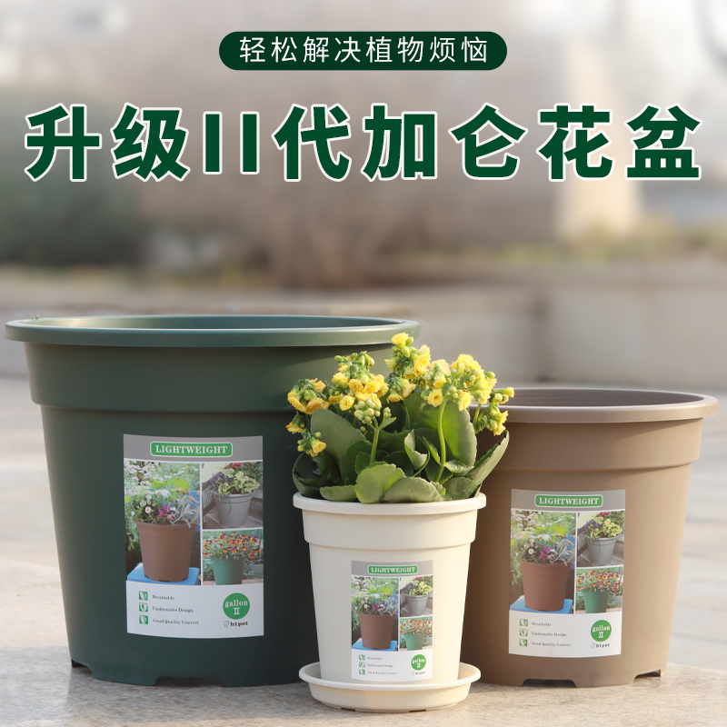 塑料加仑盆圆形绿萝月季环球
