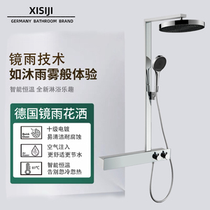 德国家用淋浴花洒套装镜雨手持花洒大顶喷置物平台全铜主体