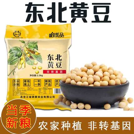 东北黄豆打豆浆专用豆子非转基因新大豆生小农家土黄豆批发