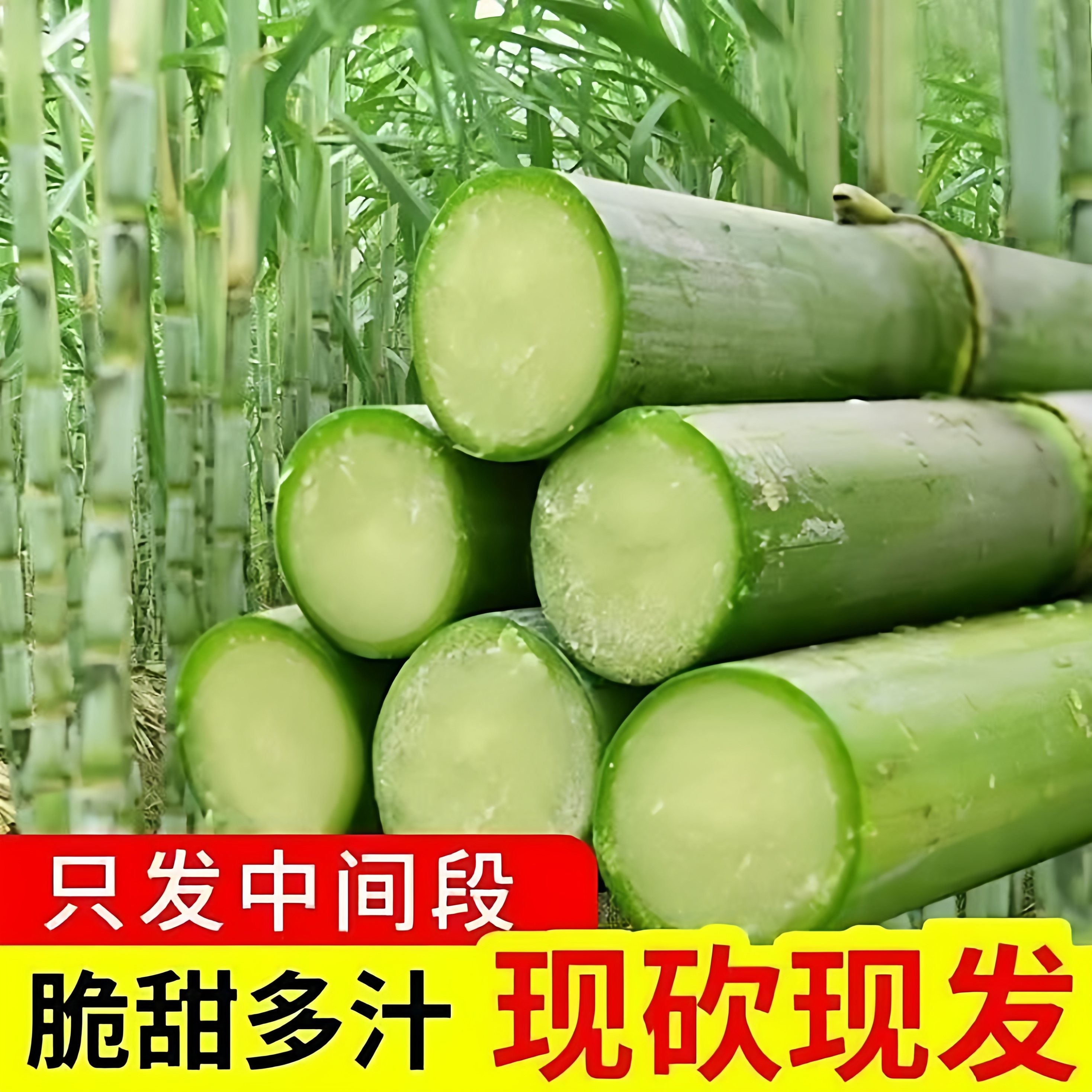 青皮甘蔗新鲜青皮绿皮脆皮甘蔗
