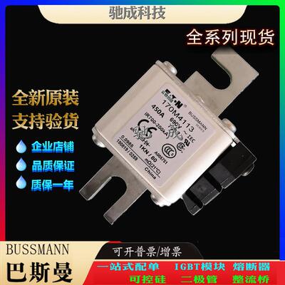 巴斯曼170M4170 170M4171 170M4174 厂家原装厂价直供 特种保险丝