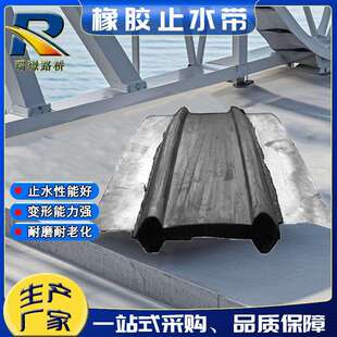 钢边橡胶止水带中平中埋式钢边橡胶止水带背贴式外贴式橡胶止水带