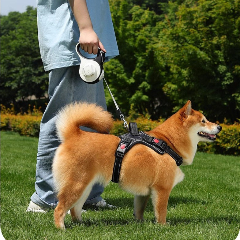 狗狗牵引绳中小型犬带灯自动伸缩遛狗绳狗链泰迪柯基外出防止挣脱,宠物/宠物食品及用品,猫牵引绳,淘宝优惠券,粉丝福利购,淘宝优惠卷