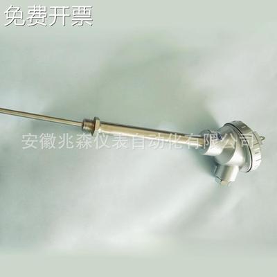 带加强管热电阻WZPK-236 带护套管热电阻WZPK-238PT100温度传感器