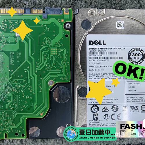 议价ST300MM0008 YJ2KH 300G S