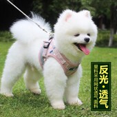 背心式 狗狗牵引绳小型犬泰迪可爱遛狗绳比熊博美幼犬W可调节狗链