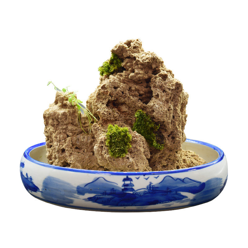 上水石原石e天然吸水石盆景摆件麦管石假山原石奇石造景水秀石包