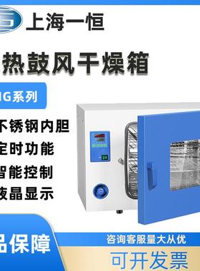 上海电热恒温鼓风干燥箱DHG-9015A烘箱300度工业烤箱烘干机