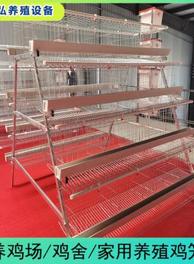 四层四门阶梯蛋鸡笼阶梯式养殖蛋鸡窝A型蛋鸡笼热镀丝