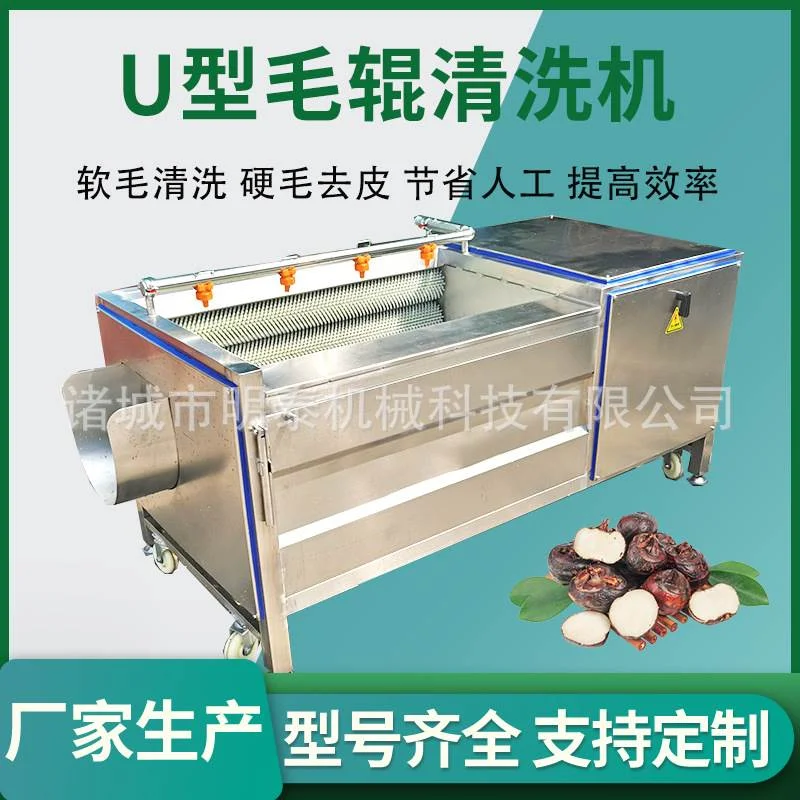 土豆U型毛辊清洗机芋头洋芋清洗去皮机中药材桔梗黄精清洗磨皮机