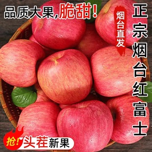 水果脆甜现货 烟台红富士苹果栖霞红富士新鲜苹果应季 百补官播