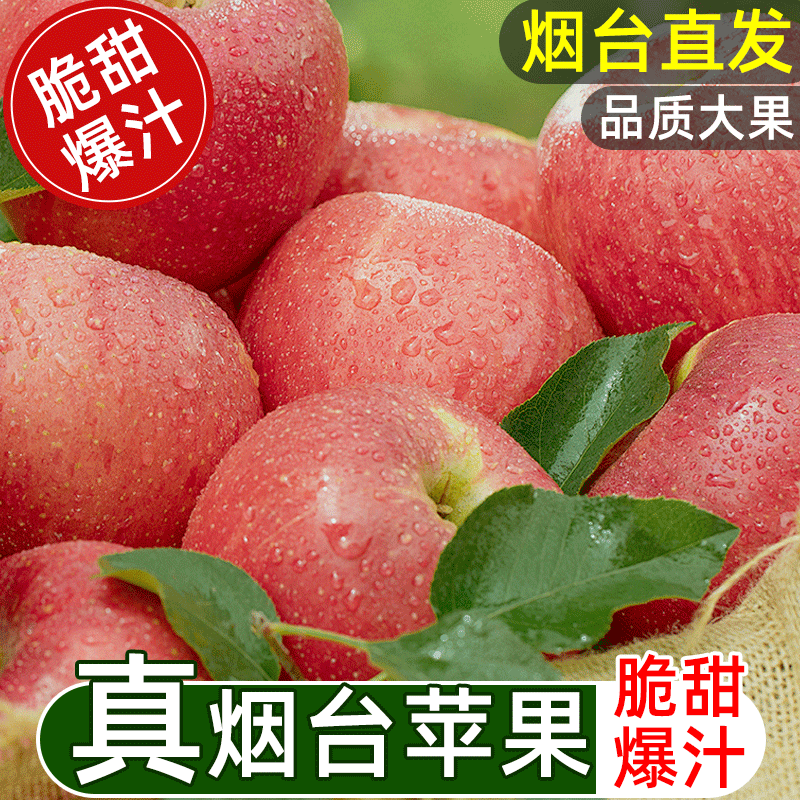【百补官播】正宗山东烟台栖霞红富士苹果新鲜脆甜水果栖霞苹果,水产肉类/新鲜蔬果/熟食,苹果,淘宝优惠券,粉丝福利购,淘宝优惠卷