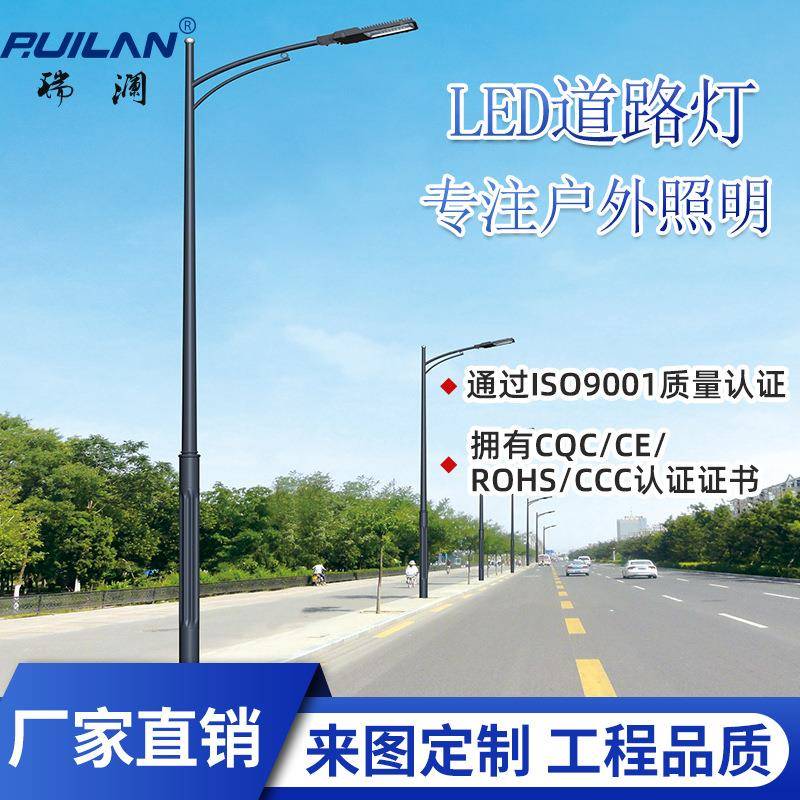 LED市电路灯单双臂6米8米12米道路照明足瓦30W60W100W道路照明灯