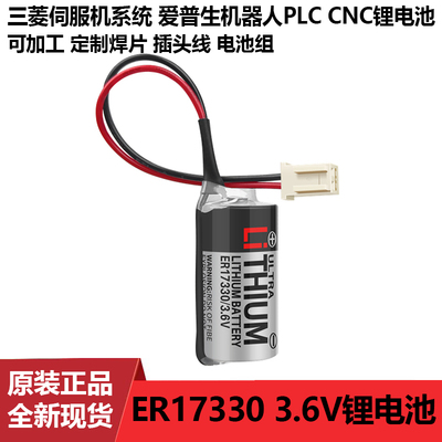 R13ZA00600300本体电池ER17330V