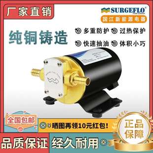 12齿轮柴油泵纯铜24v电动微小型自吸煤油泵车载正反转抽加油机