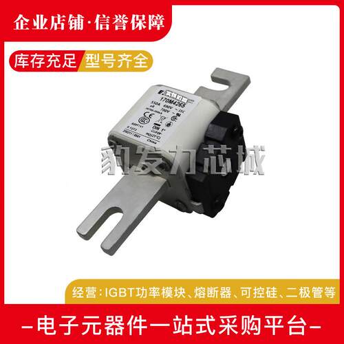 170M4308 170M4309 170M4310 170M4311 170M4312 170M4313熔断器