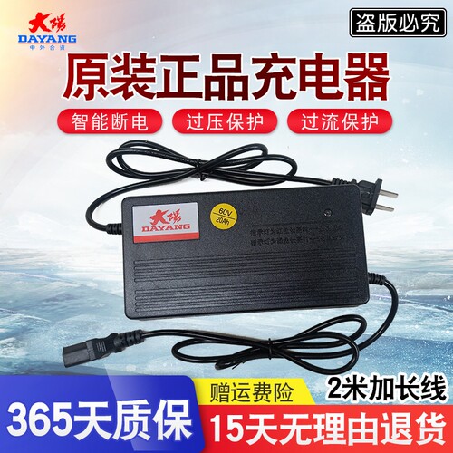 适用大阳原装电动车电瓶充电器36V12AH48V20AH60V30AH72V32AH