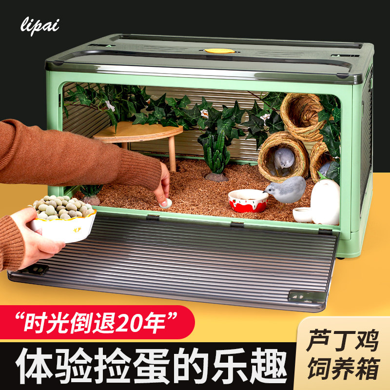 芦丁鸡饲养箱全套宠物用品鹦鹉鸟笼鹌鹑笼子造景专用保温恒温育雏