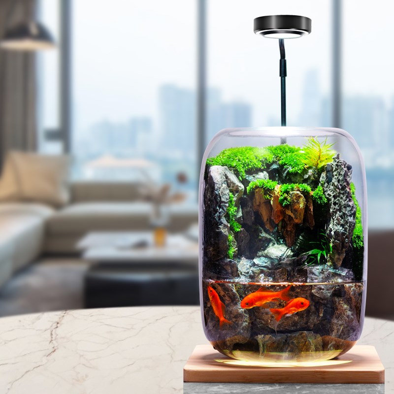 石上清泉流水款养鱼缸真植物苔藓微景观生态瓶办公室成品室内送礼