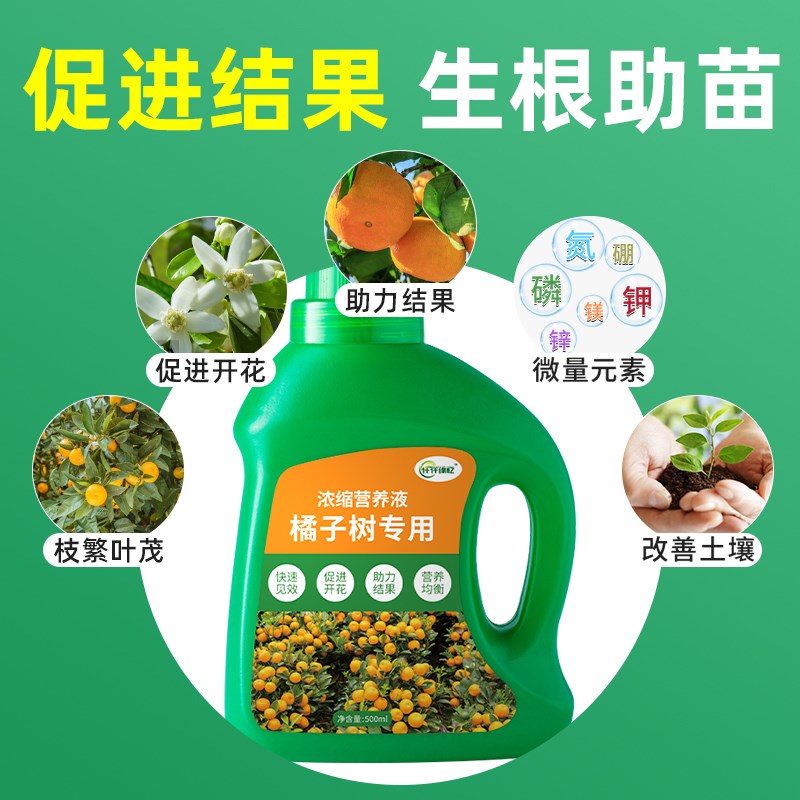 桔子树专用肥橘子肥料金桔营养液柑橘水溶沃柑盆栽果树开花结果用