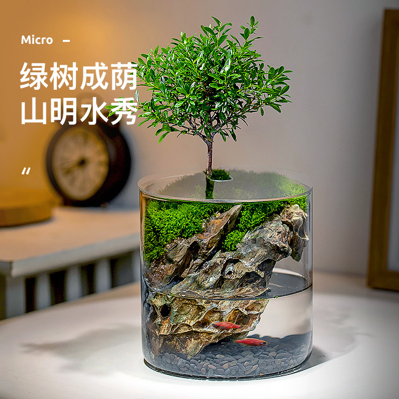 苔藓微景观绿植赤楠九里香客厅室内鱼缸植物办公室桌面创意小盆栽