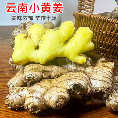 初柠柔小黄姜农家自种食用云南