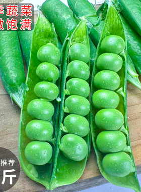 初柠柔 云南豌豆新鲜云南带壳青豆角蔬菜甜豆荚嫩5斤当季整箱包邮