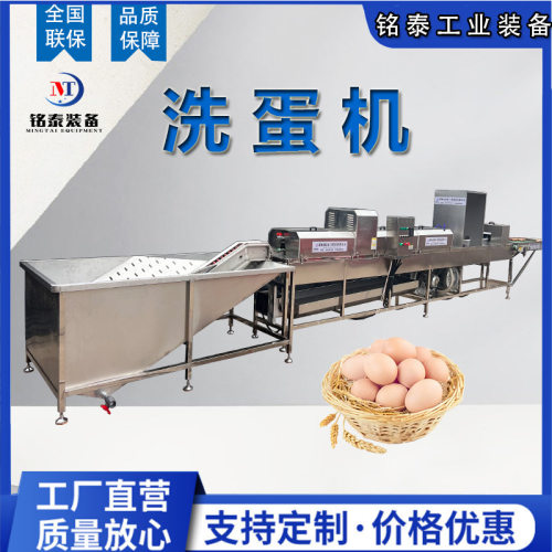 全自动洗蛋机山鸡蛋清洗风干流水线禽蛋加工清洗消毒设备
