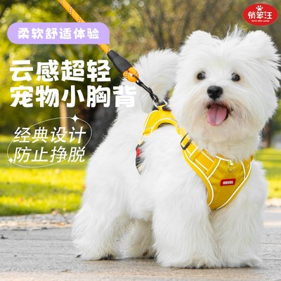 悄笨汪狗狗牵引绳可提式胸背带