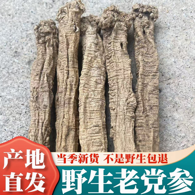 野生党参500g克干货大条党叁特级甘肃中药材当参组合黄芪当归煲汤