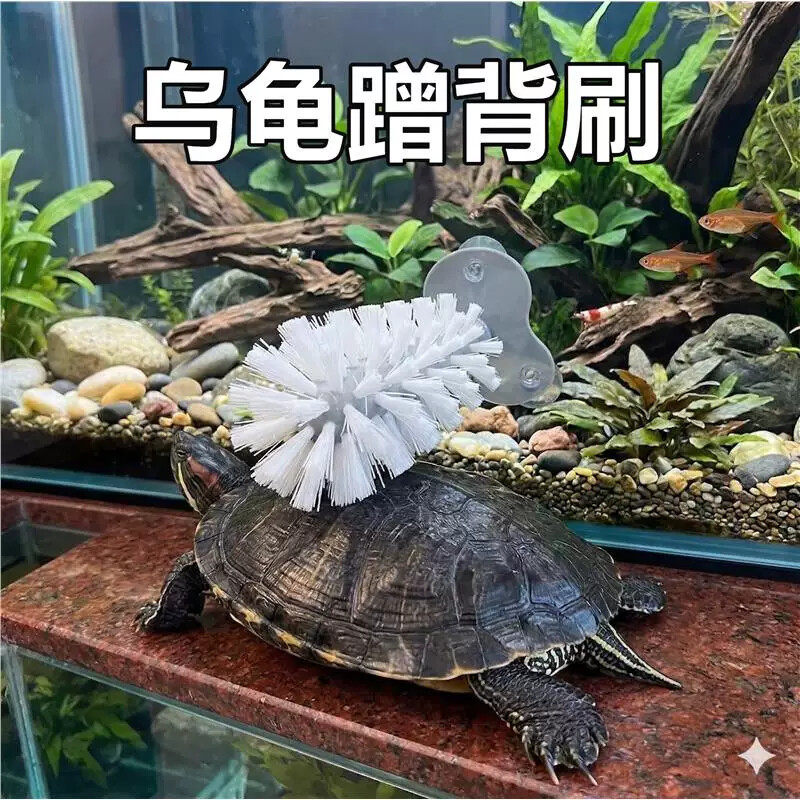 2026新款乌龟蹭背刷龟甲水龟清理吸盘式巴西龟甲壳宠物磨背小刷子